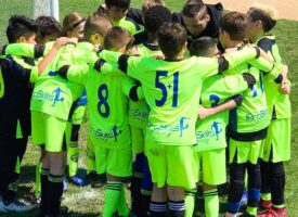 soccer team work soccer team work