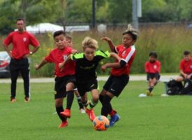 Sebastian Antal, player trained in Chicago playing professional soccer in Switzerland Sebastian Antal, player trained in Chicago playing professional soccer in Switzerland